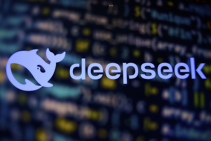 In a world overflowing with data, DeepSeek stands out by prioritizing relevance and context, ensuring users find exactly what they need.